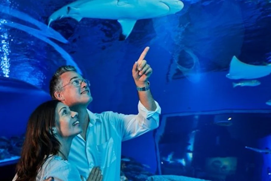 ケアンズ水族館&ファラオの墓: 入場チケット, Cairns