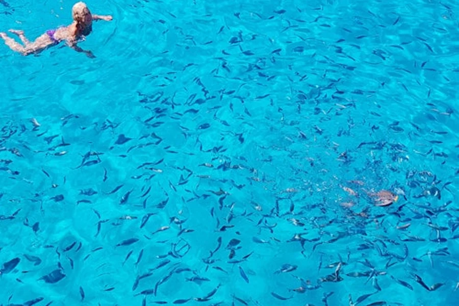 Parga, Syvota & Blue Lagoon: Full-Day Boat Cruise from Corfu, Corfu