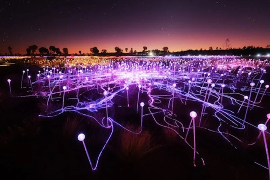 Field of Light Uluru: Star Pass, Yulara