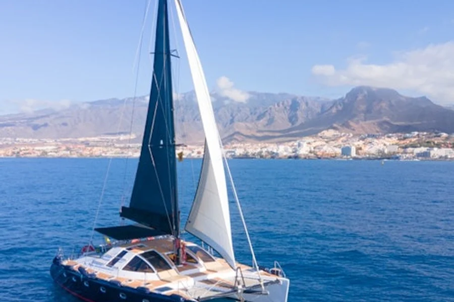 Tenerife: Excursão de 3 horas em catamarã para observação de baleias e golfinhos com serviço de catering, at Tenerife Sailing Tours, Costa Adeje