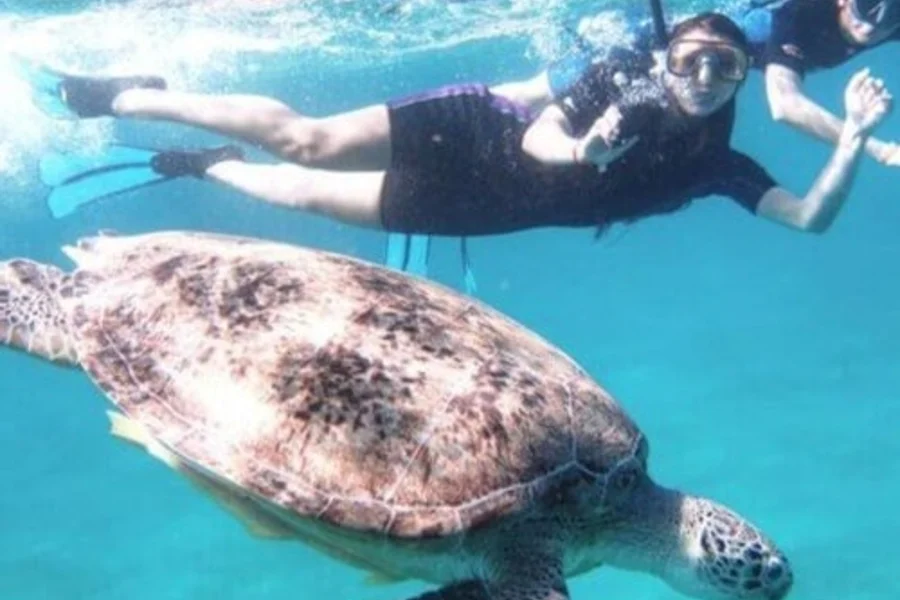 Abu Dabbab Beach, Marsa Alam
