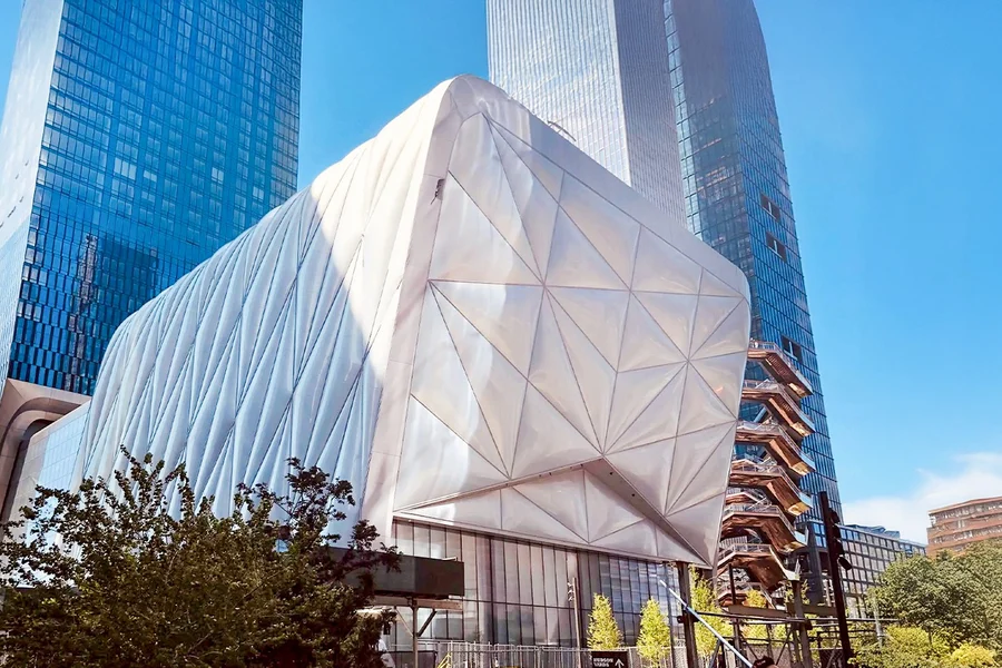 Екскурсія з гідом Hudson Yards із квитками на оглядовий майданчик Edge, at Vessel, New York