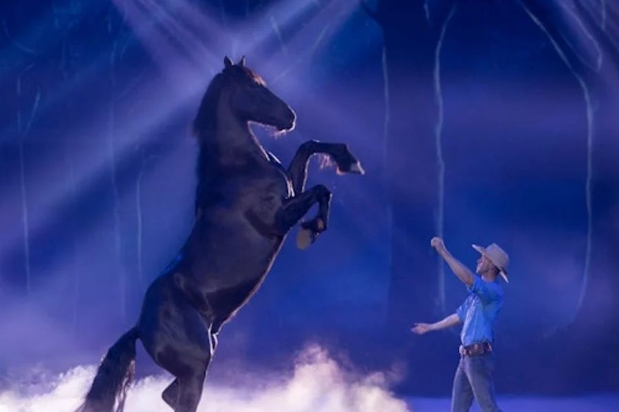 Australské Outback Spectacular: Večeře a představení, Oxenford