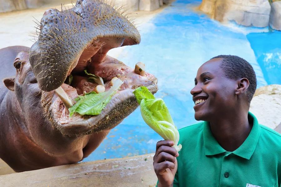 Emirates Park Zoo Tickets, Dubai