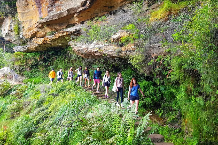 Blue Mountains Off the Beaten Path Guided Bushwalks, Secret Lookouts & BBQ Lunch, Sydney