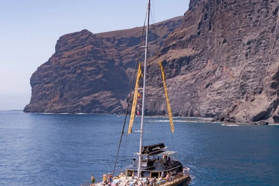 Tenerife: Excursão de 4,5 horas para observação de baleias e golfinhos até Masca e Los Gigantes, at Tenerife Sailing Tours, Costa Adeje