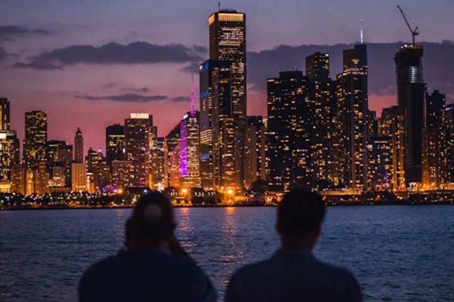 Llac Michigan i Riu Chicago: Creuer de Visita Nocturna de 1,5 Hores, Chicago