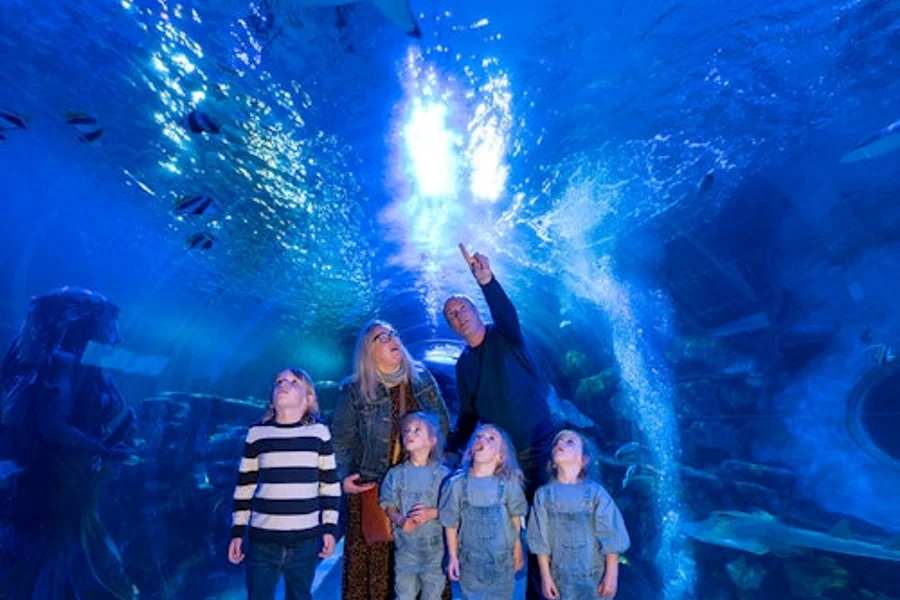 SEA LIFE Oberhausen: Tiket sa Pagpasok, Birmingham