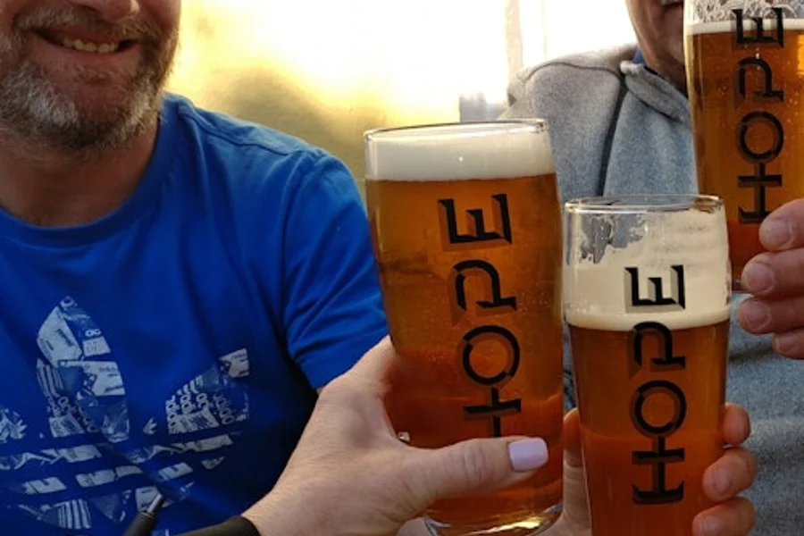 Dublin Coastal Craft Beer and Seafood Trail: Guided Tour, Dublin