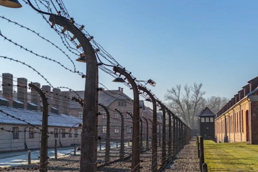 Auschwitz-Birkenau: Guidet Omvisning + Transport, Auschwitz
