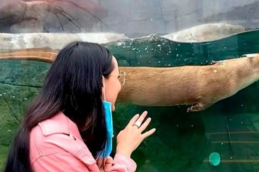 比奧公園希洪水族館:入場票, Puebla