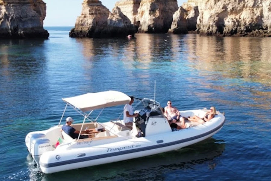 Ponta da Piedade and Lagos Coast: 2-Hour Private Boat Tour, Lagos