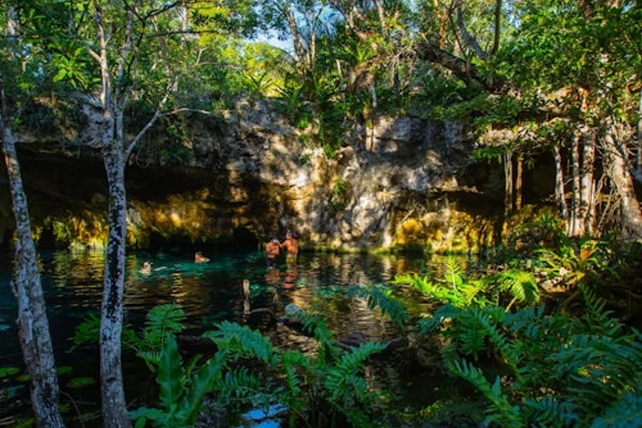 Tulum & 2 Cenotes Trail: Bike Tour + Lunch, Playa Del Carmen