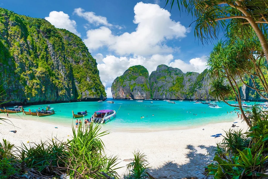 Dari Phuket: Tur Pulau Phi Phi, Teluk Maya & Pulau Bamboo dengan Speedboat Premium, Phuket
