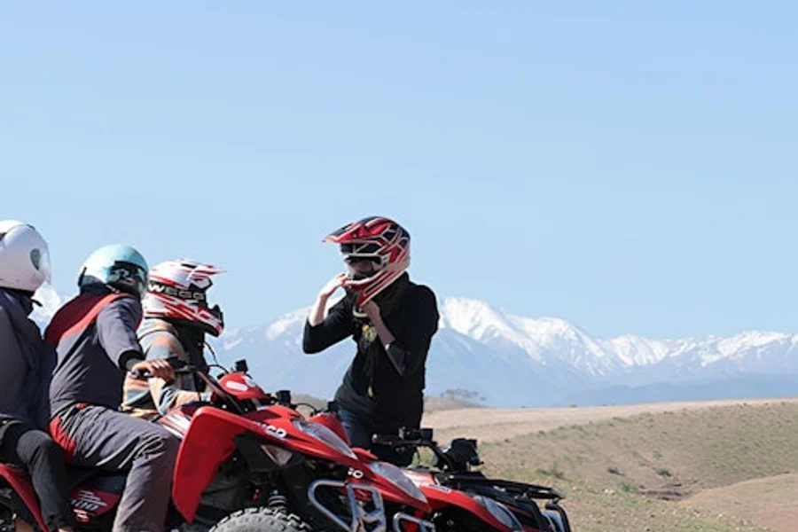 Agafay Desert & Lake: Half-Day Guided Quad Adventure + Transport, Marrakesh
