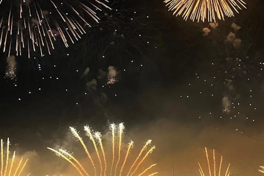 Lérins Islands: 2.5-Hr Fireworks Cruise from Cannes, Cannes