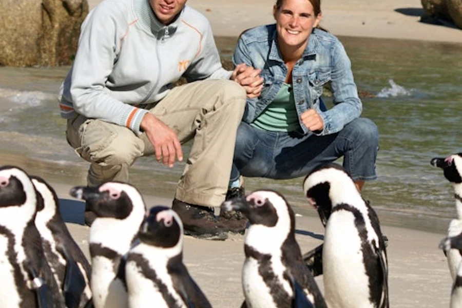 Boulders Beach & Cape Point: Half-Day Tour, Cape Town
