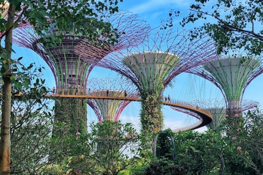 Gardens by the Bay: Visita Guiada, Singapore