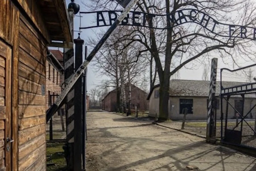 Auschwitz-Birkenau: Guidet Omvisning, Auschwitz