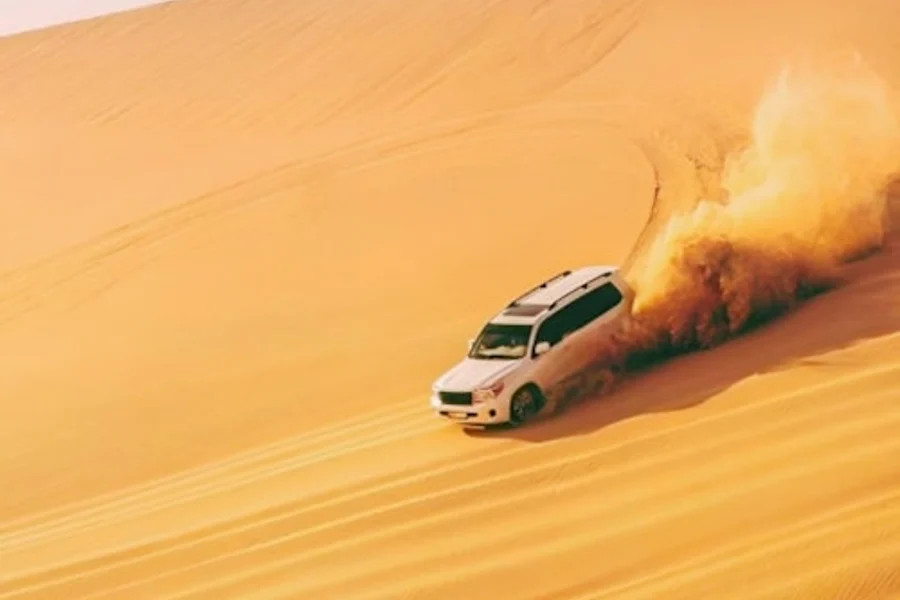 Full Day Desert Safari with BBQ Meal, Doha