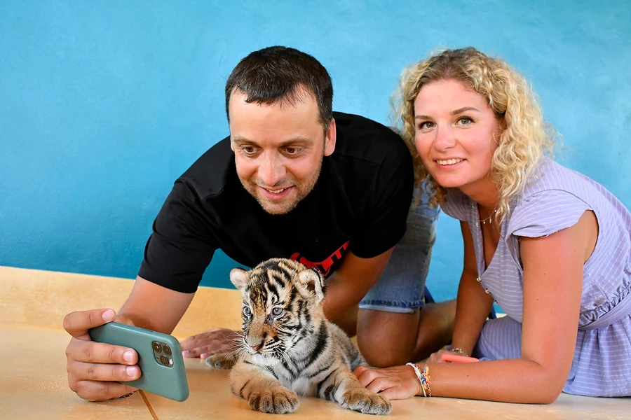 Tiket Tiger Park dengan Paket Bermain Tiger, at Tiger Park Phuket, Phuket