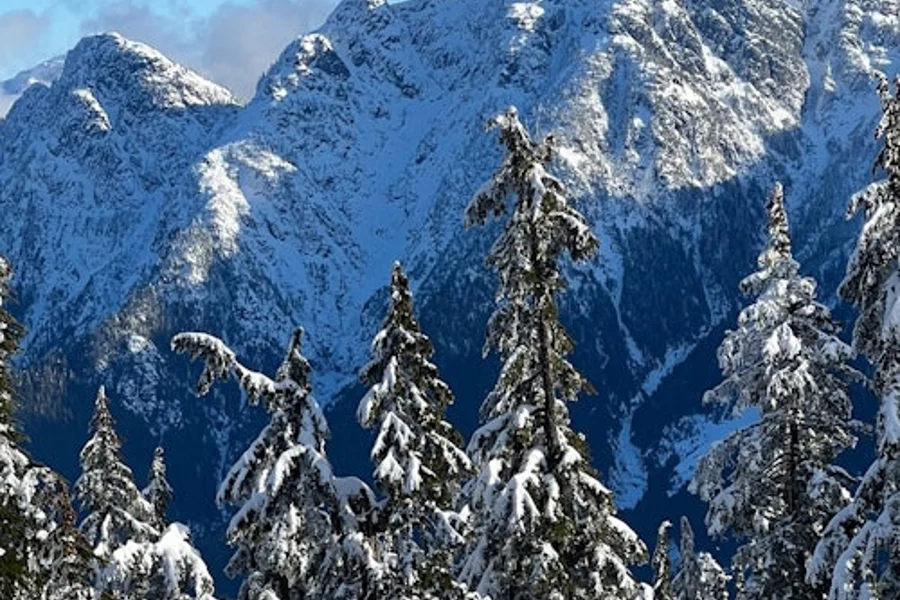 Vancouver: Guided Snowshoeing Tour, Vancouver