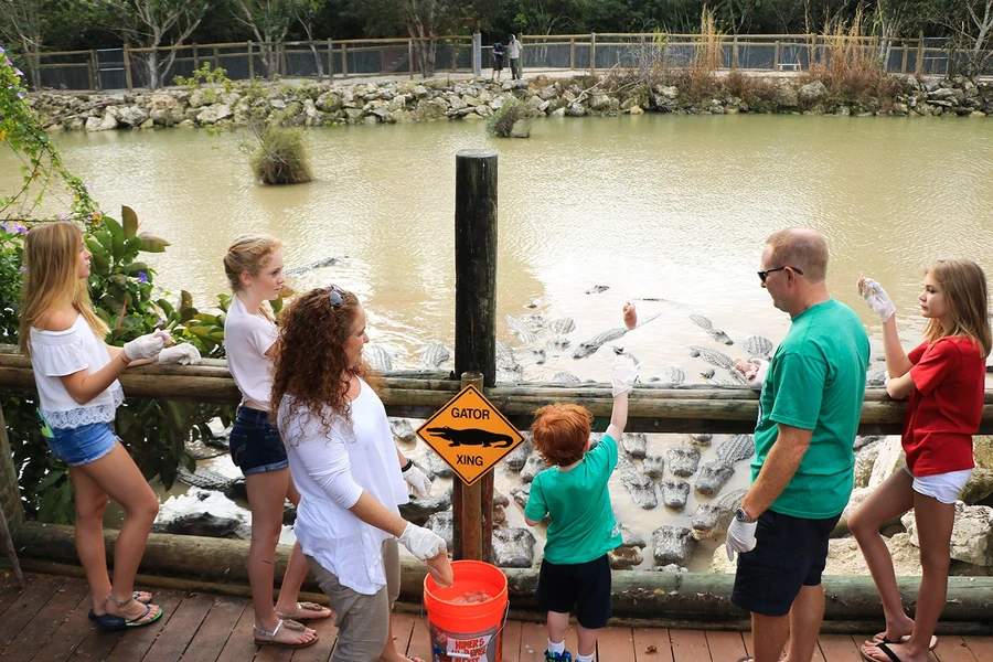 Go City Miami All-Inclusive Pass: Choose from 35 Attractions, Miami