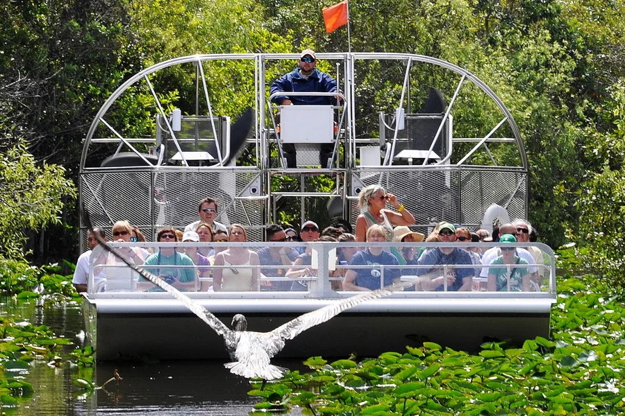 Miami: Airboat Tour with Wildlife Show & Transportation from Miami, Miami