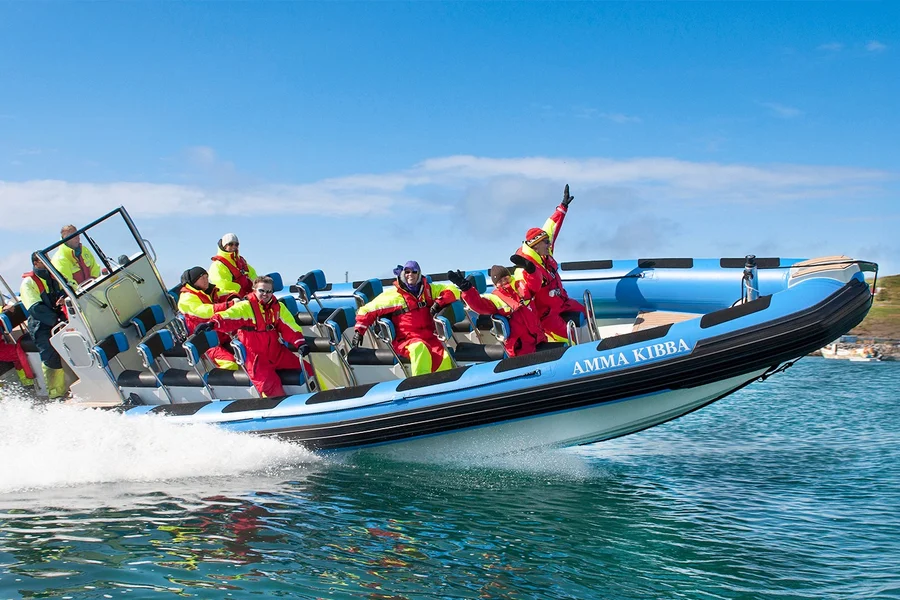 Husavik: Whale Watching and Puffin Tour on RIB speedboat, Reykjavik