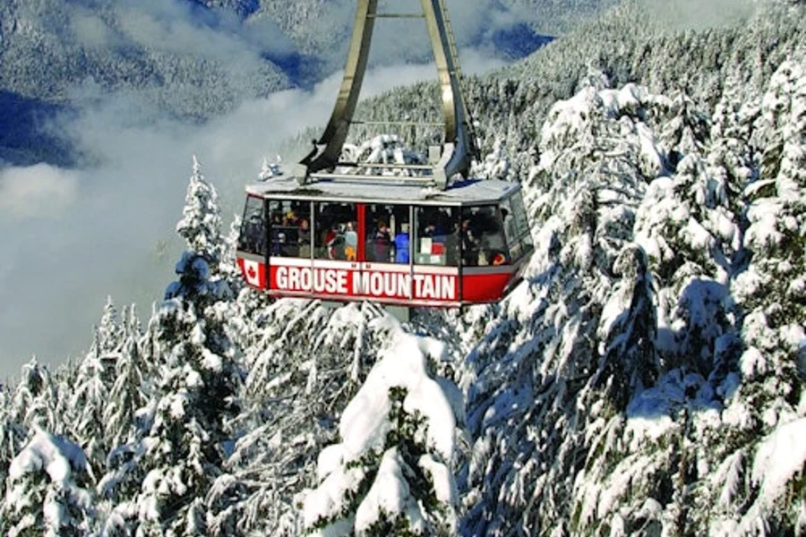 Grouse Mountain: Entry Ticket, Vancouver