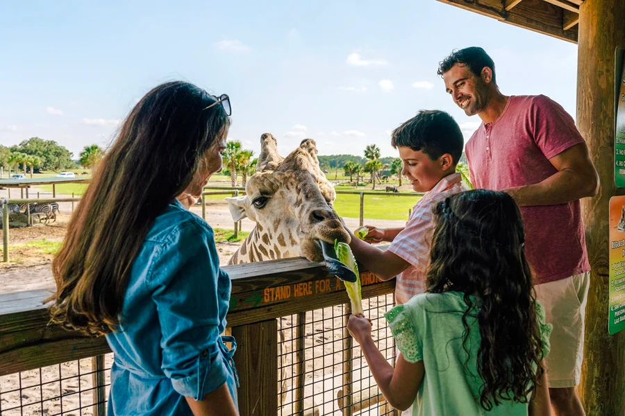 Drive-Thru Safari-Park bei Wild Florida, Orlando
