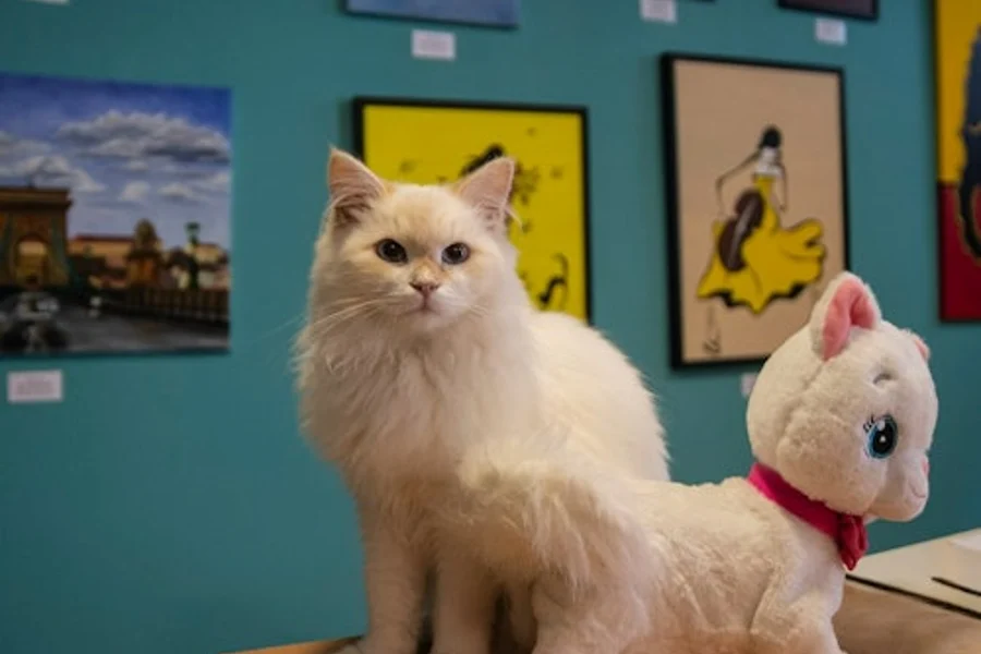 Muzium Kucing Budapest: Tiket Masuk + Panduan Audio, Budapest