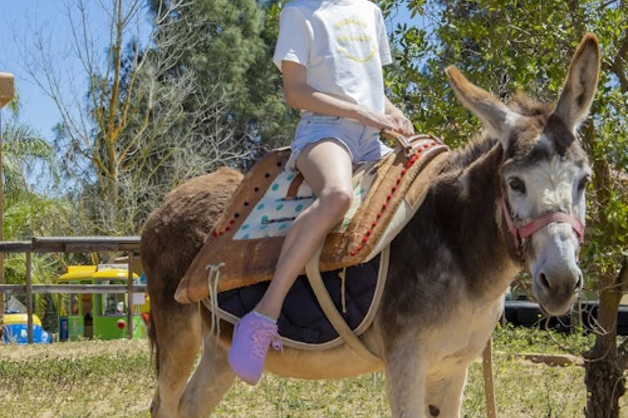 Krazy World Algarve Park: Entry Ticket, Algoz