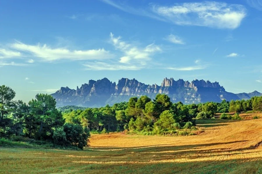 Montserrat : Visite en petit groupe depuis Barcelone et prise en charge à l'hôtel, Monistrol De Montserrat