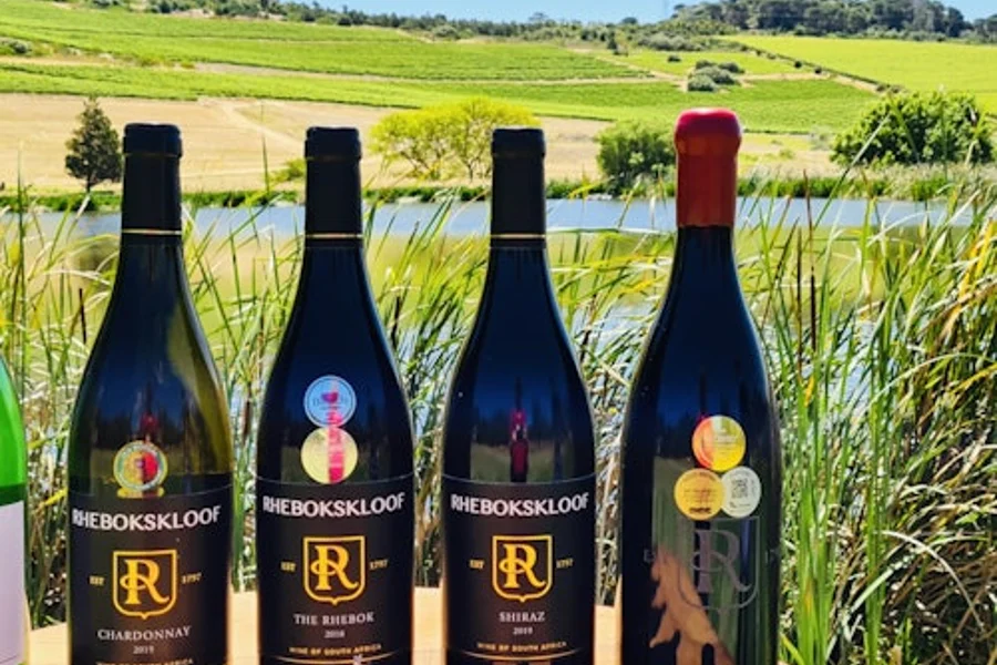 Paarl, Franschhoek, Stellenbosch Region Explorer Wine Tour, Cape Town
