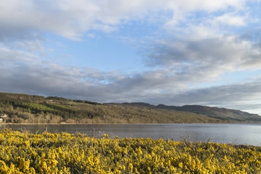 The Complete Loch Ness Experience: Day Tour from Inverness, Inverness