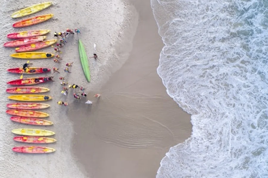 Kayak with the Dolphins: Half-Day Guided Tour, Byron Bay