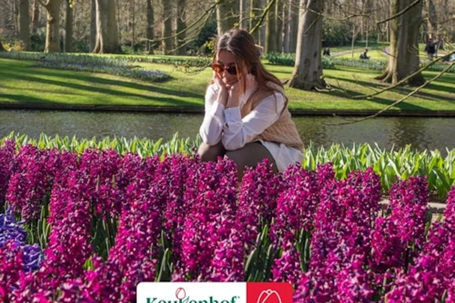 Amsterdam: Keukenhof Entry Ticket + Canal Cruise, Lisse