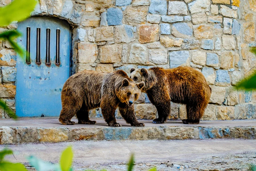 Tickets to Jardim Zoologico, Lisbon and Sintra