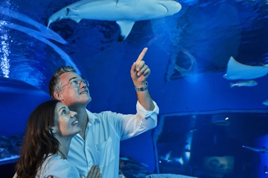 ケアンズ水族館: ナイトエントリー + 2コースディナー, Cairns