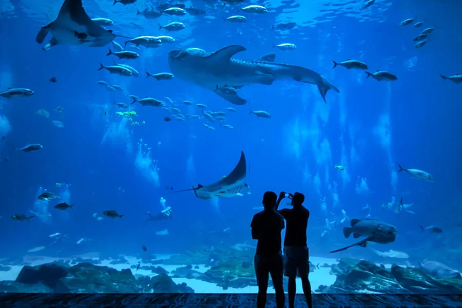Ryukyu Mura Tickets with Optional Churaumi Aquarium Tickets, Okinawa
