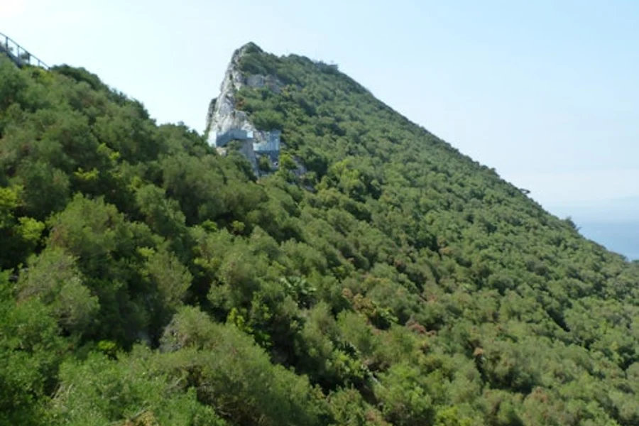 Mula Málaga: Isang Araw na Paglalakbay sa Gibraltar, Gibraltar