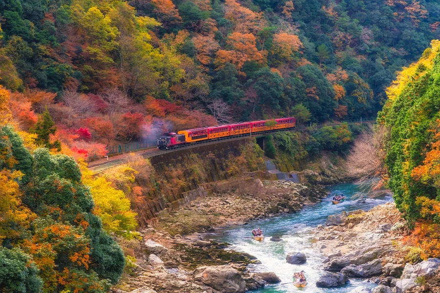 Sagano Romantic Train Ticket: Saga to/from Kameoka, Kyoto