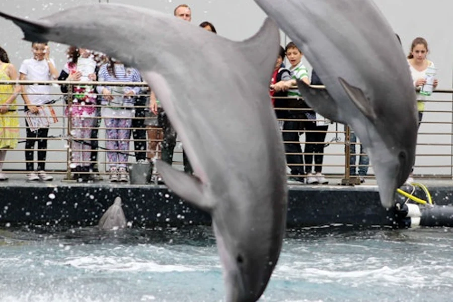 Aquarium ng Genoa: Tiket sa Pasukan + Tanghalian o Almusal, Genoa