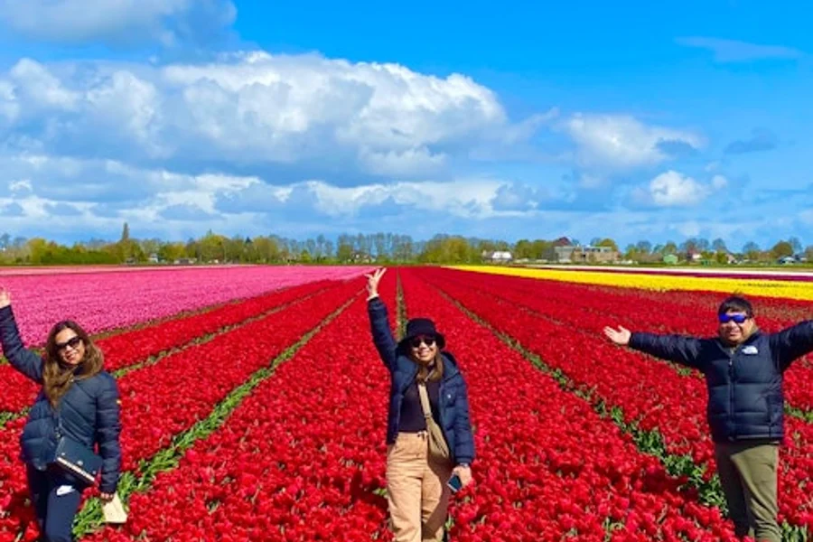 Amsterdam: Guided Tulip Tour + Lunch, Lisse