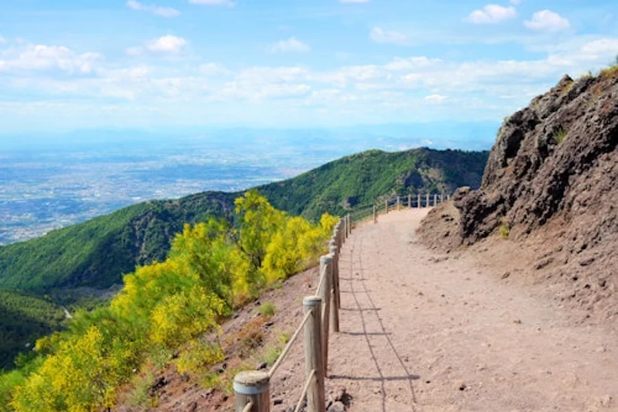 Monte Vesuvio: Solo Trasporto da Ercolano con Vesuvio Express, Ercolano