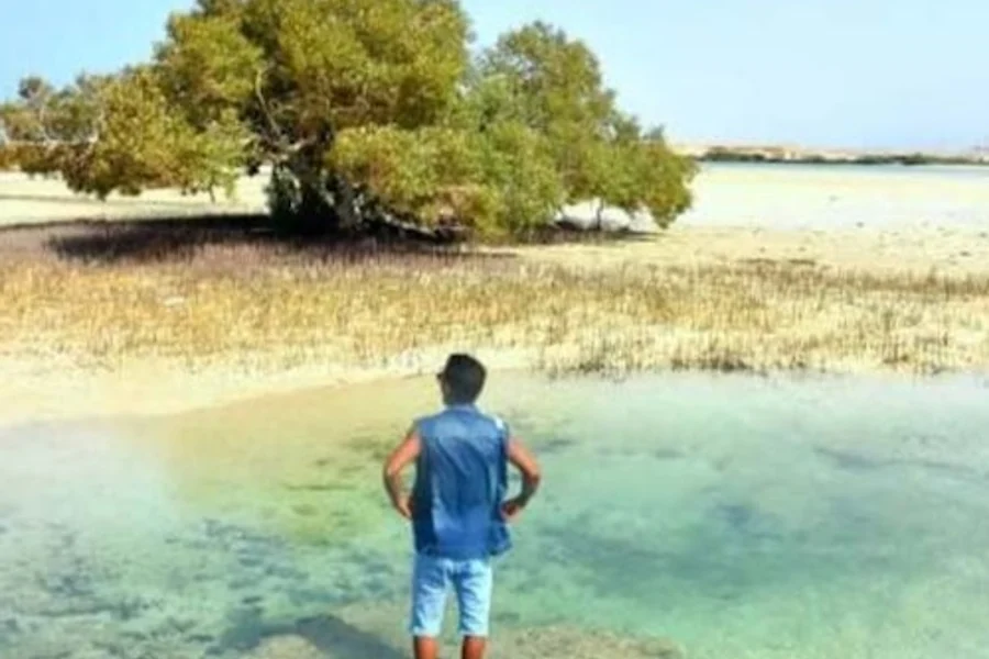 Wadi El Gemal National Park, Marsa Alam