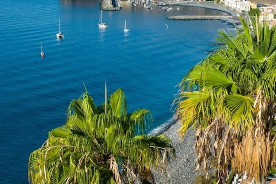 拉戈梅拉:特内里费出发的导游一日游+乘船游+午餐, San Sebastian De La Gomera