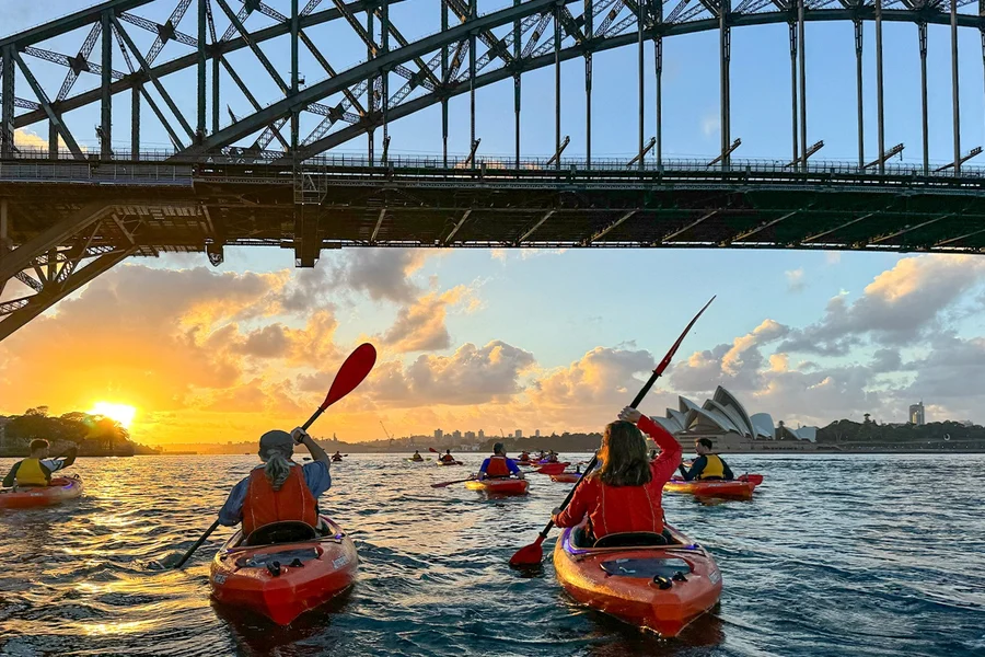 Soloppgang Kajakkpadling på Sydney Harbour med Frokost, Sydney