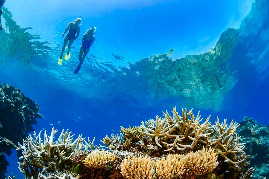 رحلة إبحار متميزة في جزر ويتصنداي: إبحار، تجديف بالوقوف، وغوص بالغطاس مع الغداء في إيرلي بيتش, at Coral Sea Marina, Whitsundays